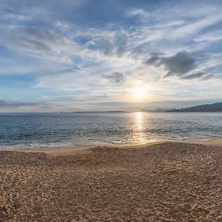 3 Pieces Les Pins Cosy Et Luxueux